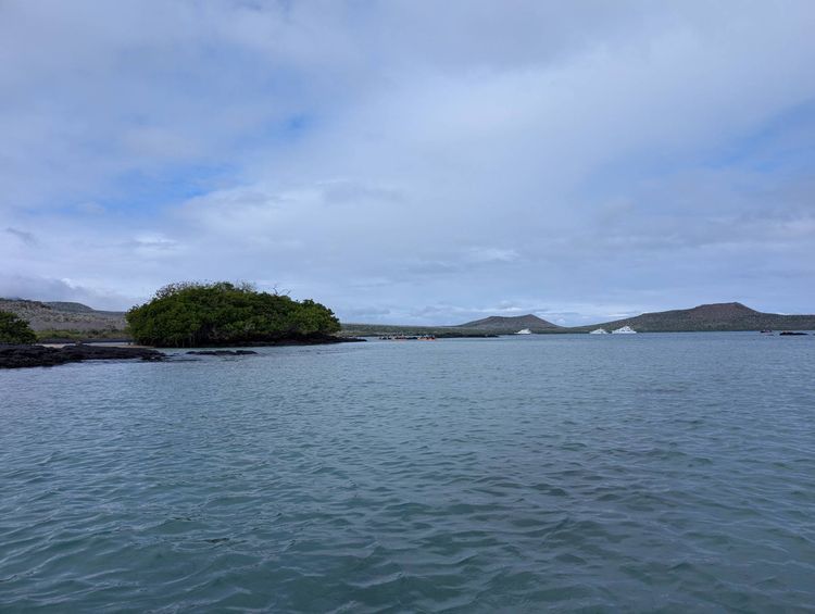 Voyage photo from Kayaking Floreana- Baroness Cove 8Jul25