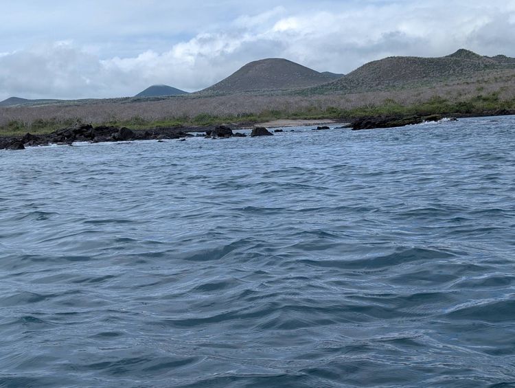 Voyage photo from Kayaking Floreana- Baroness Cove 8Jul25