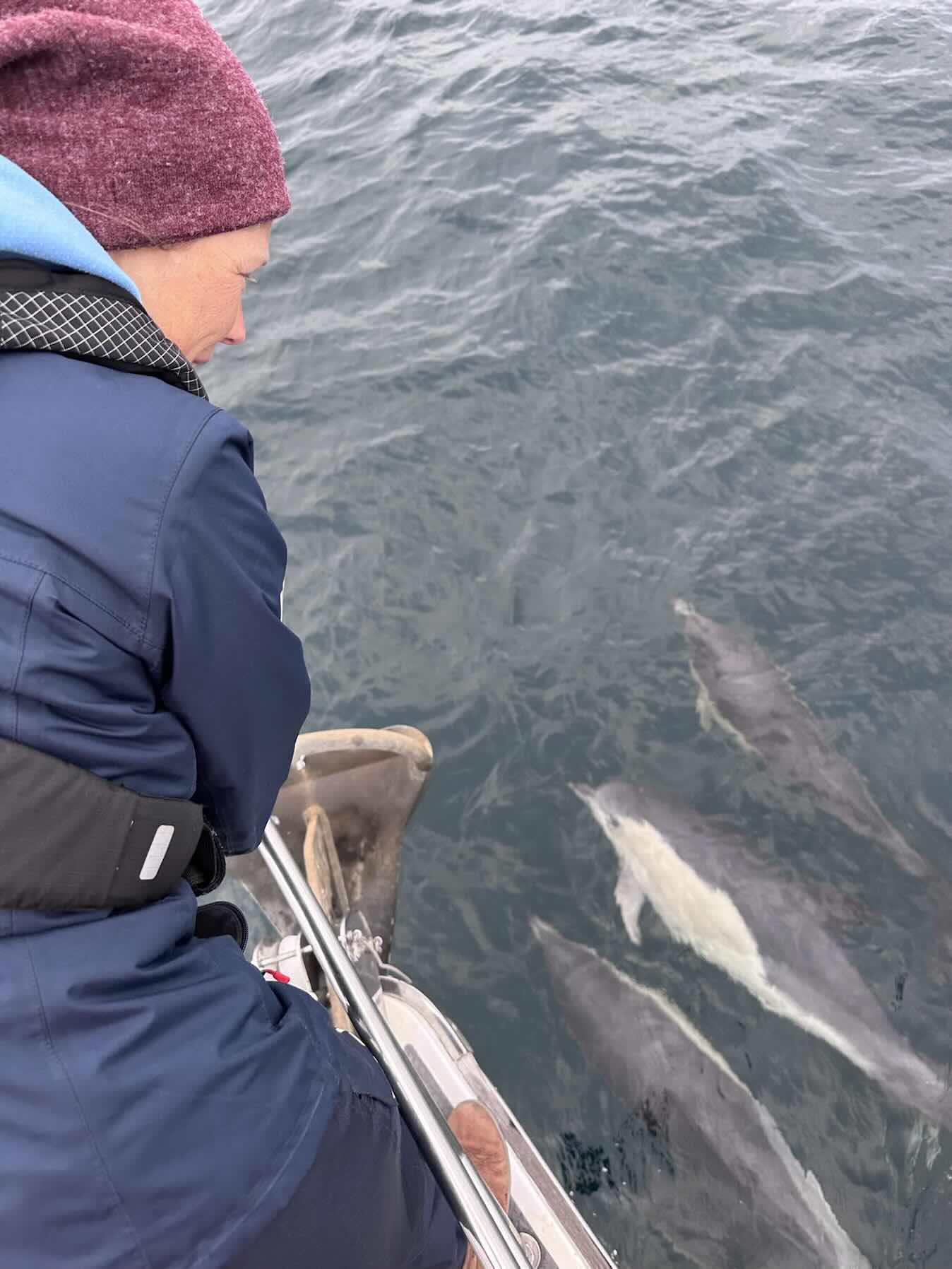 Wales, Ireland, Isle of Scilly and Cornwall 2025_355E57FA-1874-4ADF-96D4-8F0C0173C6F5