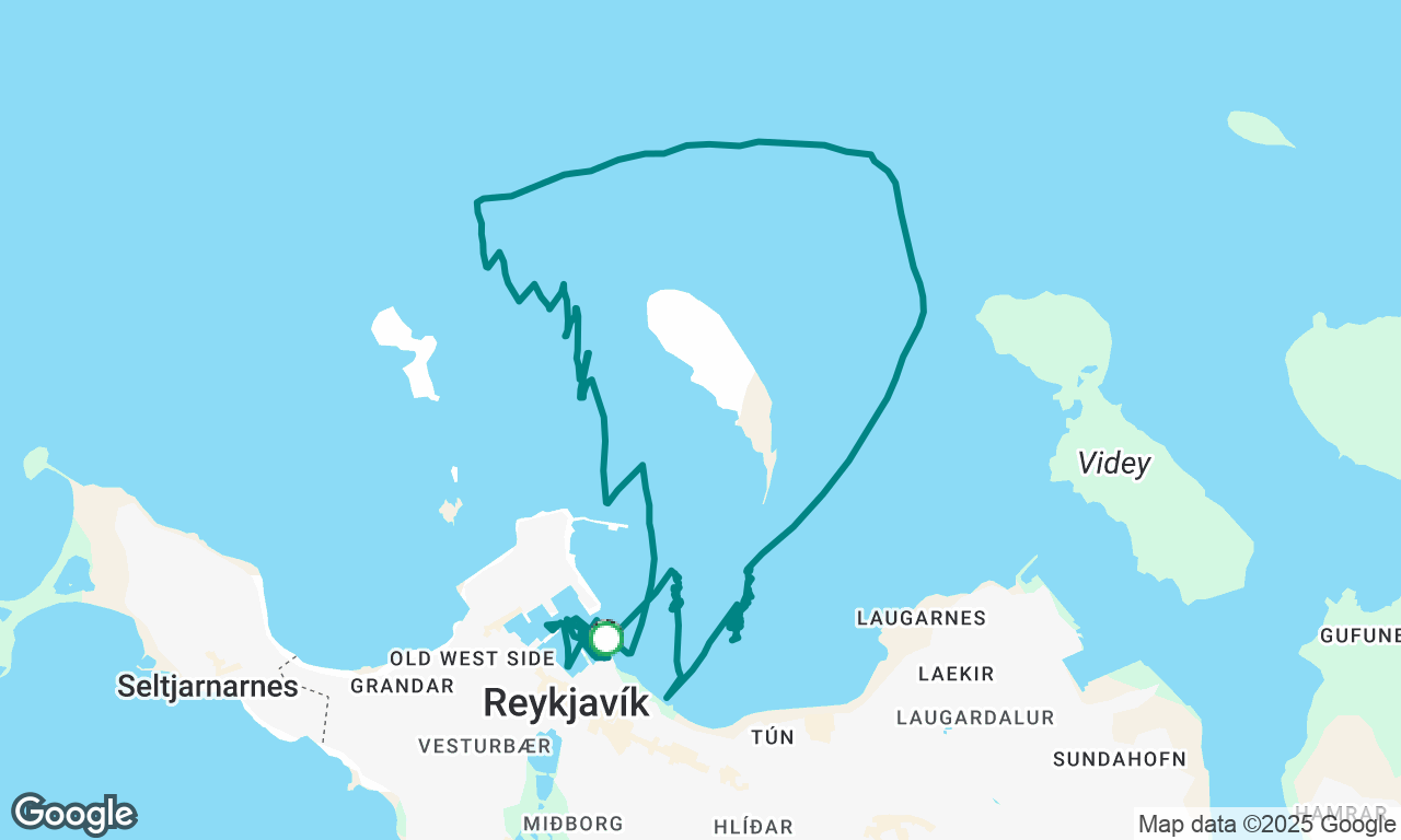 Námskeið dagur 3