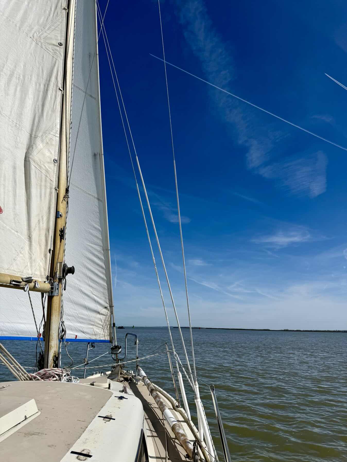 Bank Holiday Sail_228441D3-1D68-4CDA-A8C6-2DC1FE4F146E