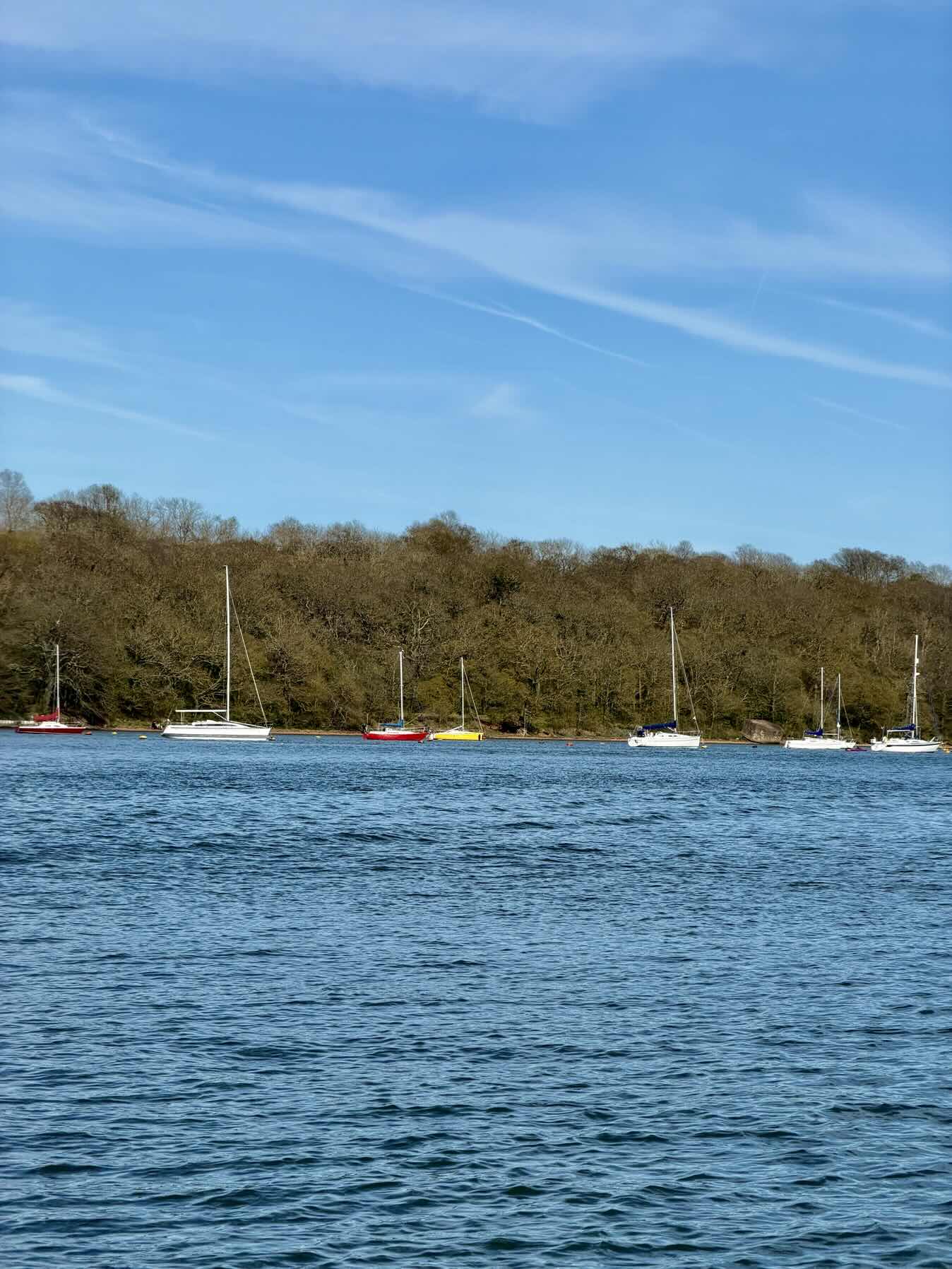 Bank Holiday Sail_38595240-9C1B-4DEC-BA70-44587F73277D