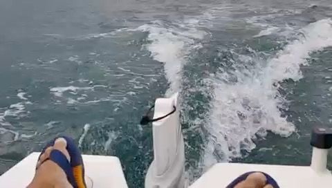 Voyage photo from Reback to Telega - Langkawi