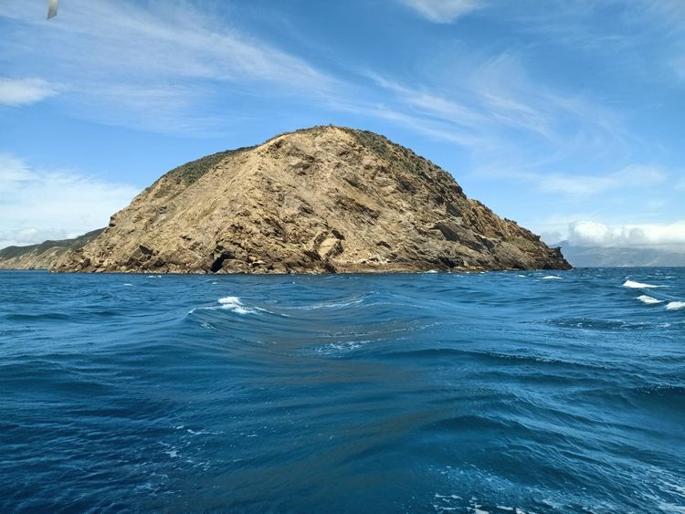 Voyage photo from D'Urville to Port Underwood