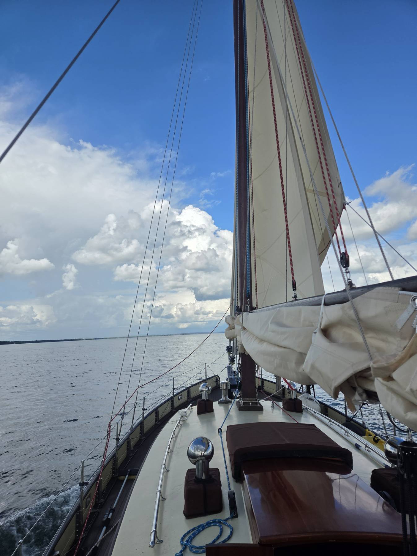 leg 1 skipper  Compostelle _4C1BD8C2-D736-4B6B-AE30-75CA211C247A
