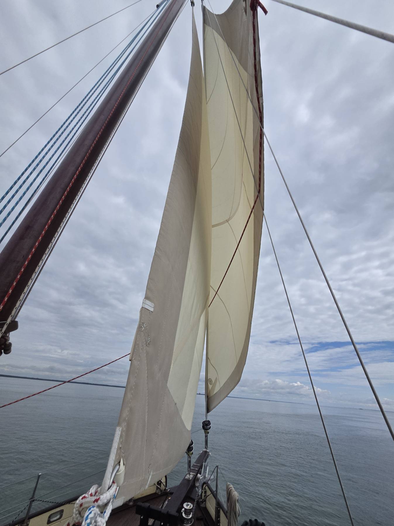 leg 1 skipper  Compostelle _AF8B2D79-1AE1-40E6-B95B-9EB356A82D62