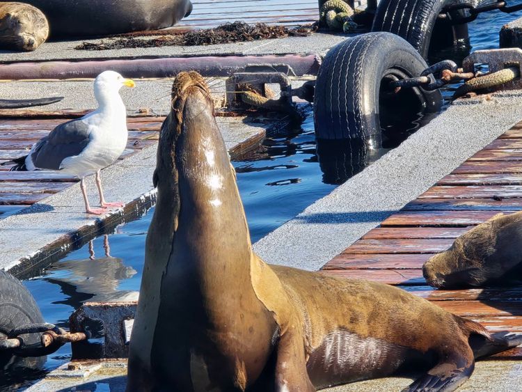 Voyage photo from emb with Amy on 664