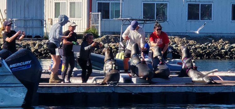 Voyage photo from emb with Amy on 664