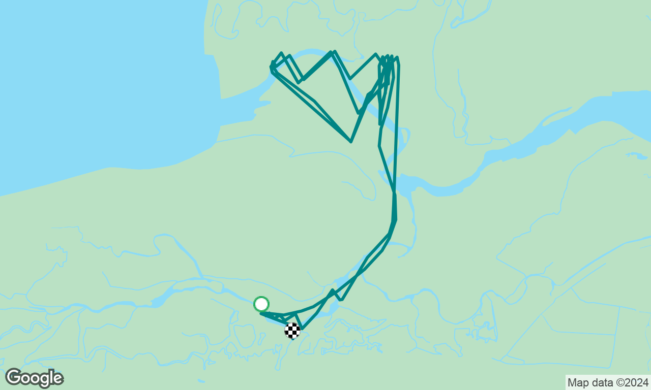 Cockle race - 2nd place 🧜🦦🐚