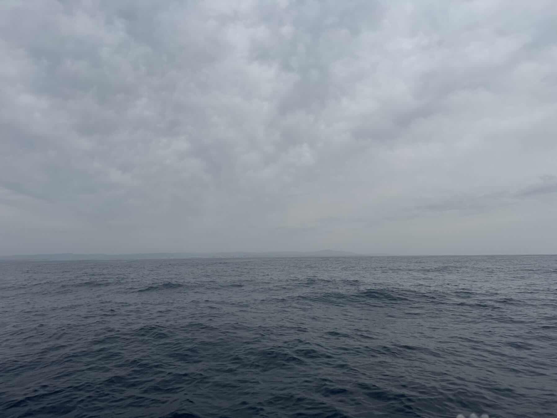 Last leg to the Tuna_11A3CC8B-6512-4D2A-86F4-4FA31A394BA0