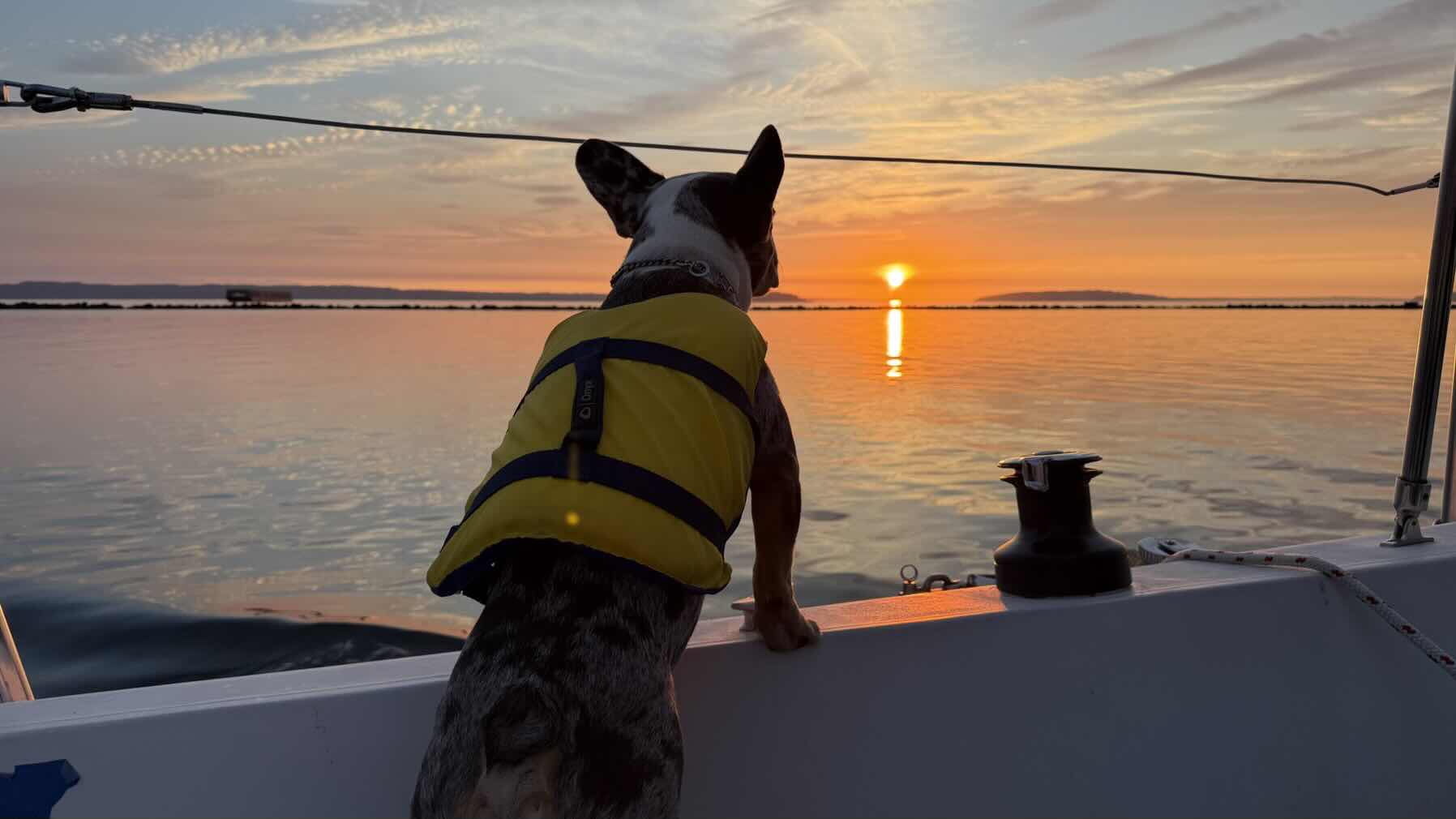 Sunset Sail_F5E5121A-7144-4271-AAFF-783EC29447B5