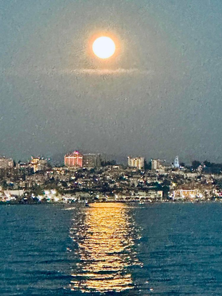 Voyage photo from Susie Saves the Day