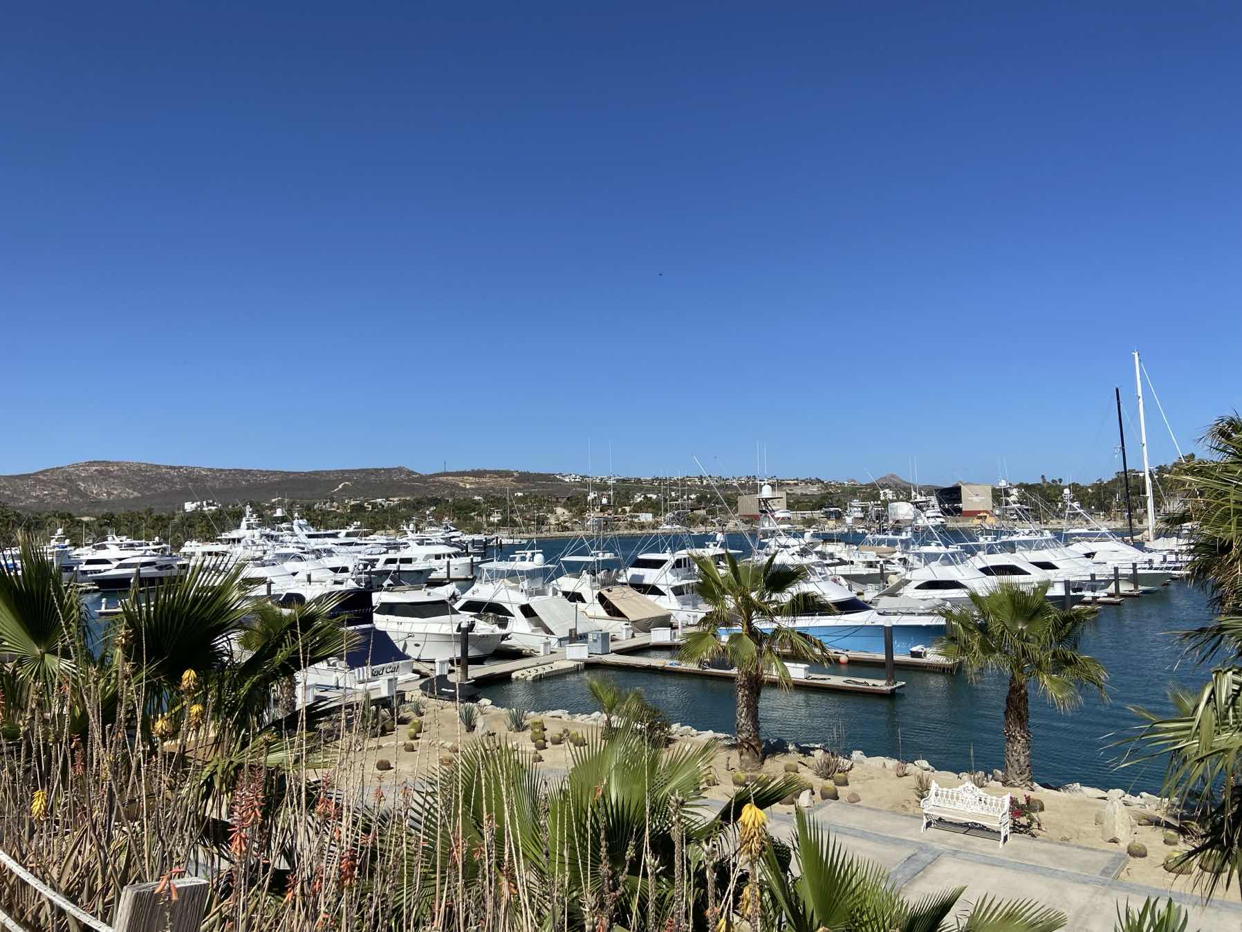 San Jose del Cabo, Mexico_8CC9323A-7BD3-4E16-A822-EF392871119F
