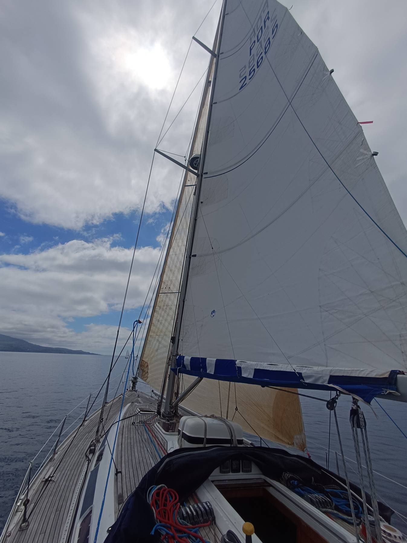 Training Regatta  "FanecaLinda"_D09B0F12-6619-4645-8DD5-8B6BCE28C62E