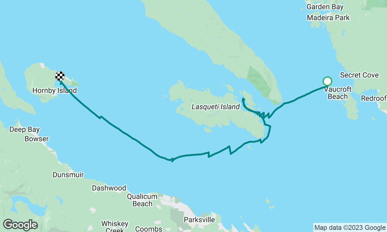 Whales on the way to Hornby Island