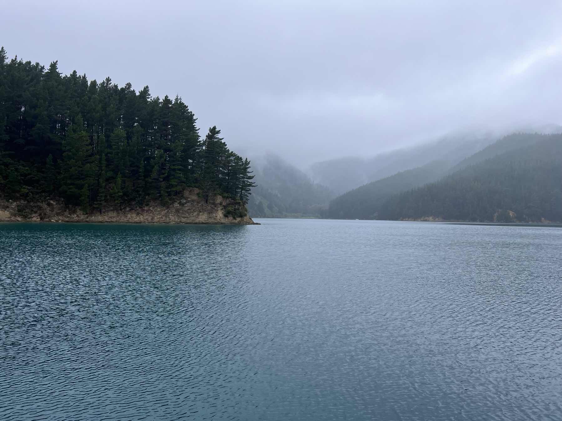 Onapua Inlet-Picton-Endeavour Inlet_0B2CE3D8-11E6-4642-9E77-ACED05E04E14