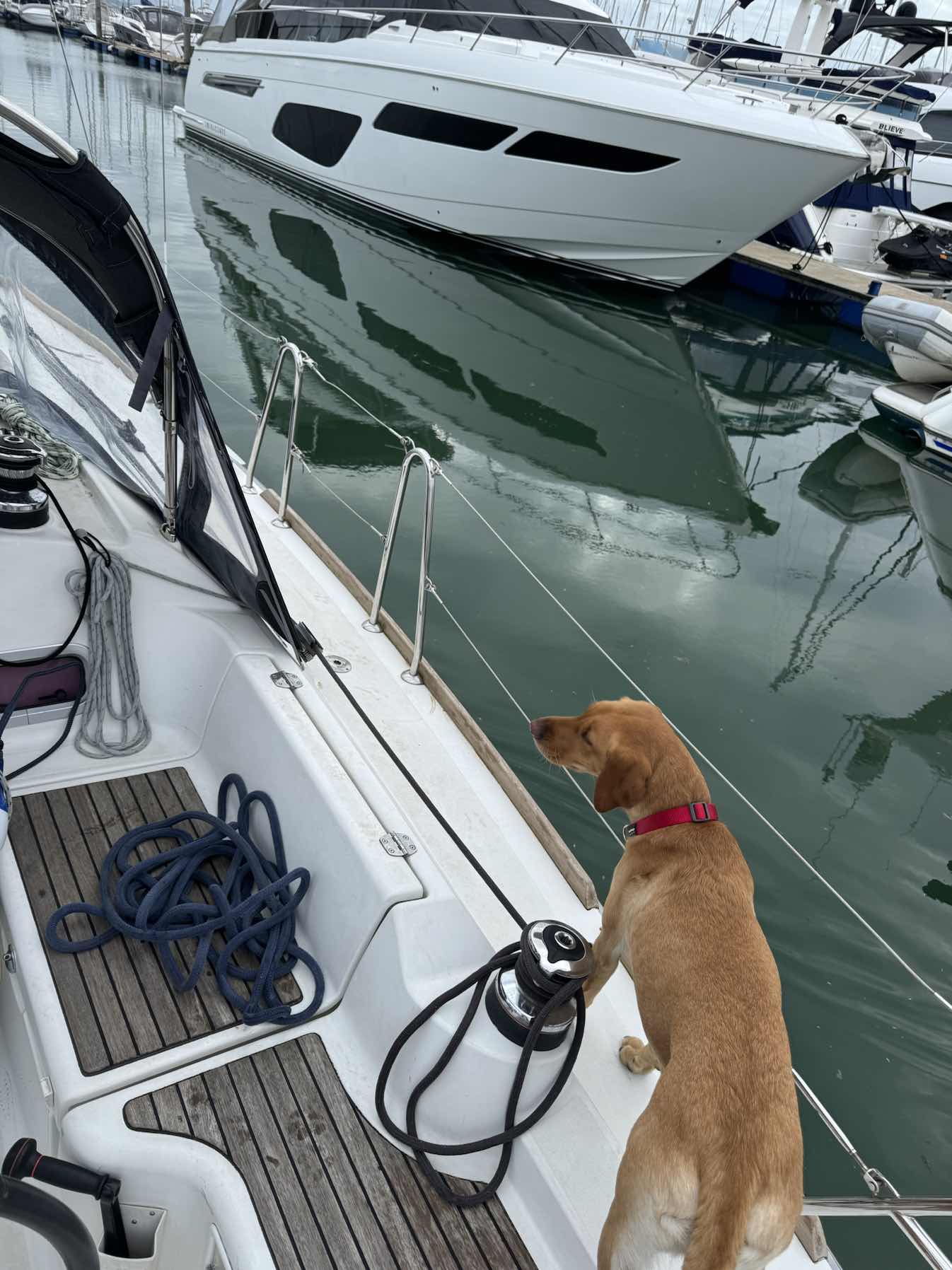 Reuben’s first voyage _377F91BB-A30D-4E47-BC19-94AAF041664E