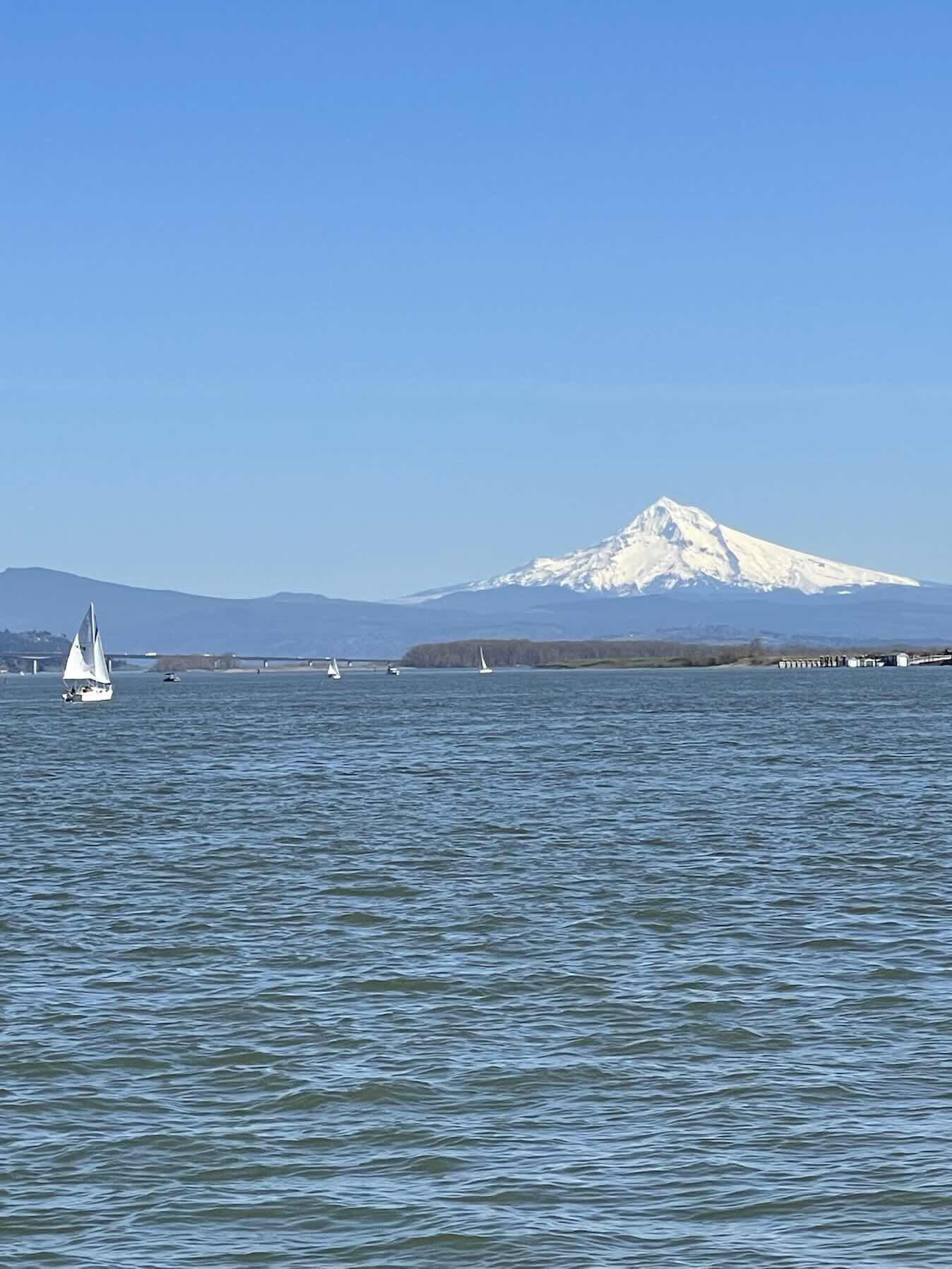 Busy sail plus MOB practice_E52DAC73-99C8-4C7C-B397-CEF6AF2C5CCC