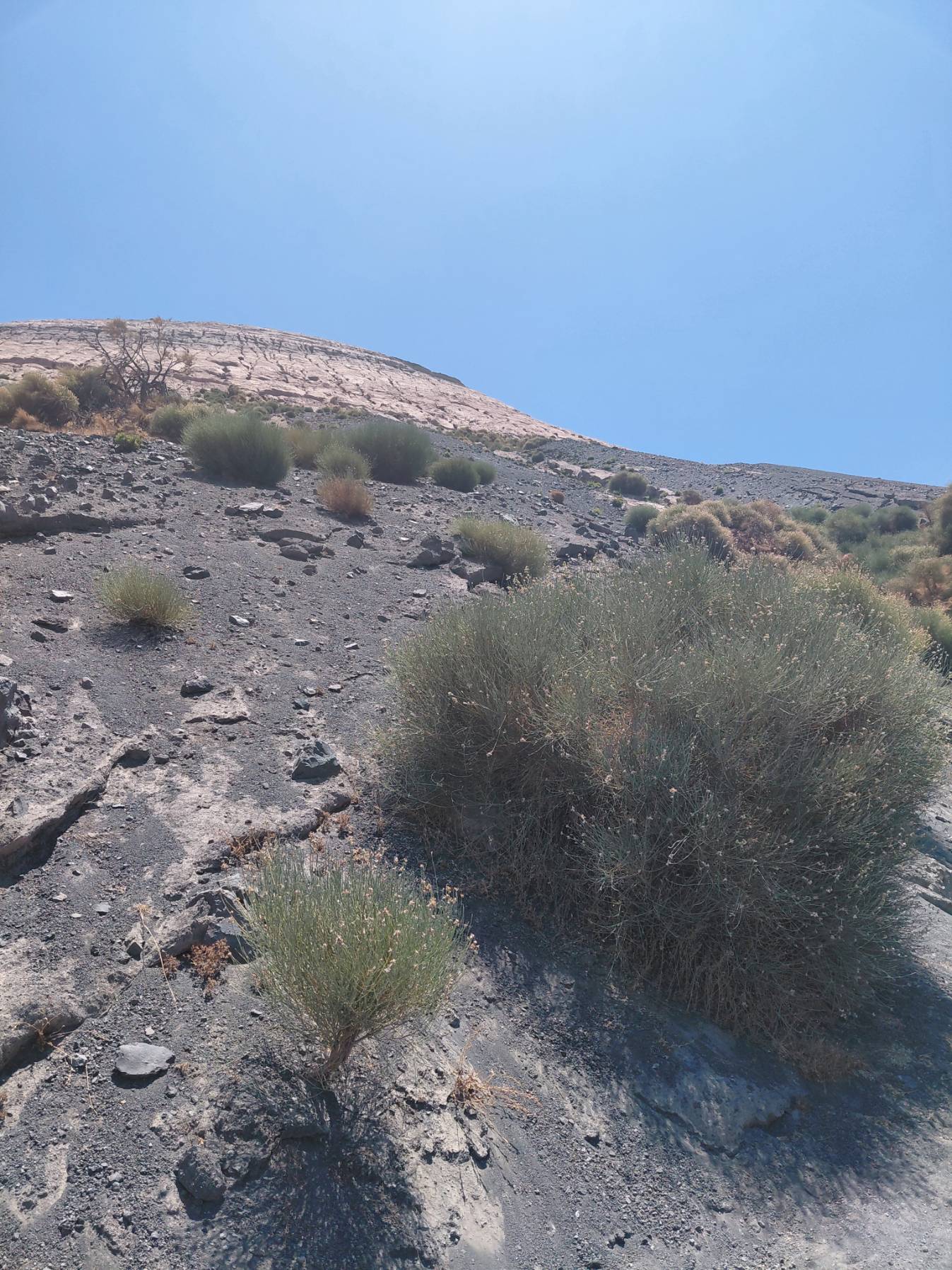 Volcano, porto Levante_A595D0D9-DC74-4845-9E5F-F9DE8EAD1CAD