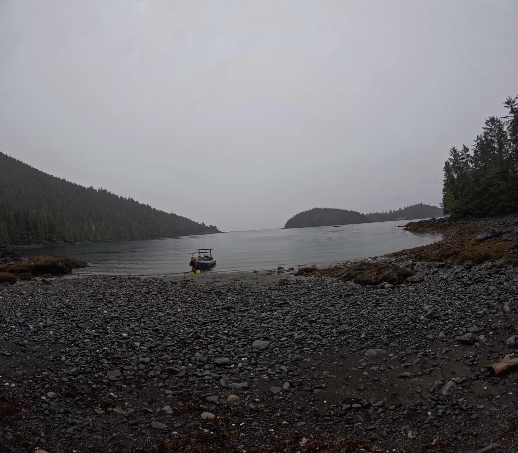 Louise Island zodiac tour_5C775755-0F54-4652-8849-8CE97A92C478