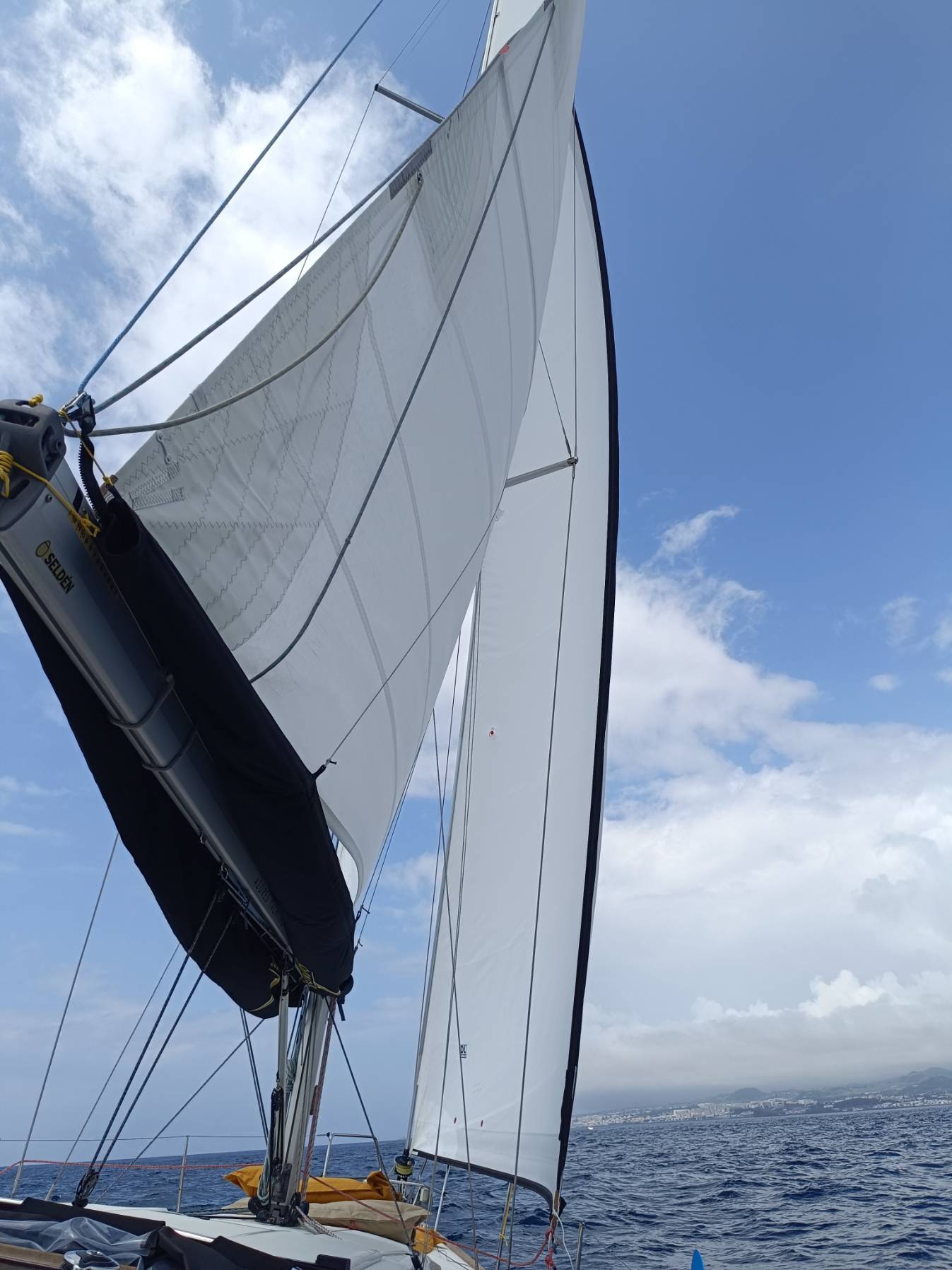 Half Day Charter, Bayley Zarrehparvar _24AFDEBE-6DF7-474E-A120-F1397840D79F