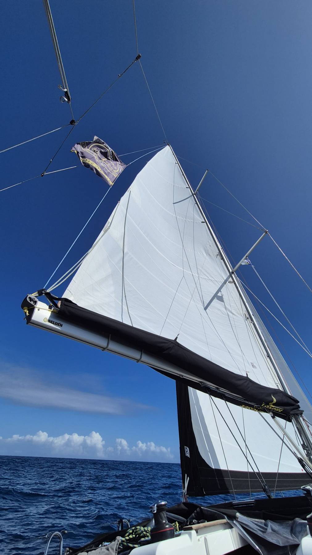 Half Day Charter, Bayley Zarrehparvar _42AD4736-571A-4A32-804F-5FE775439C5C