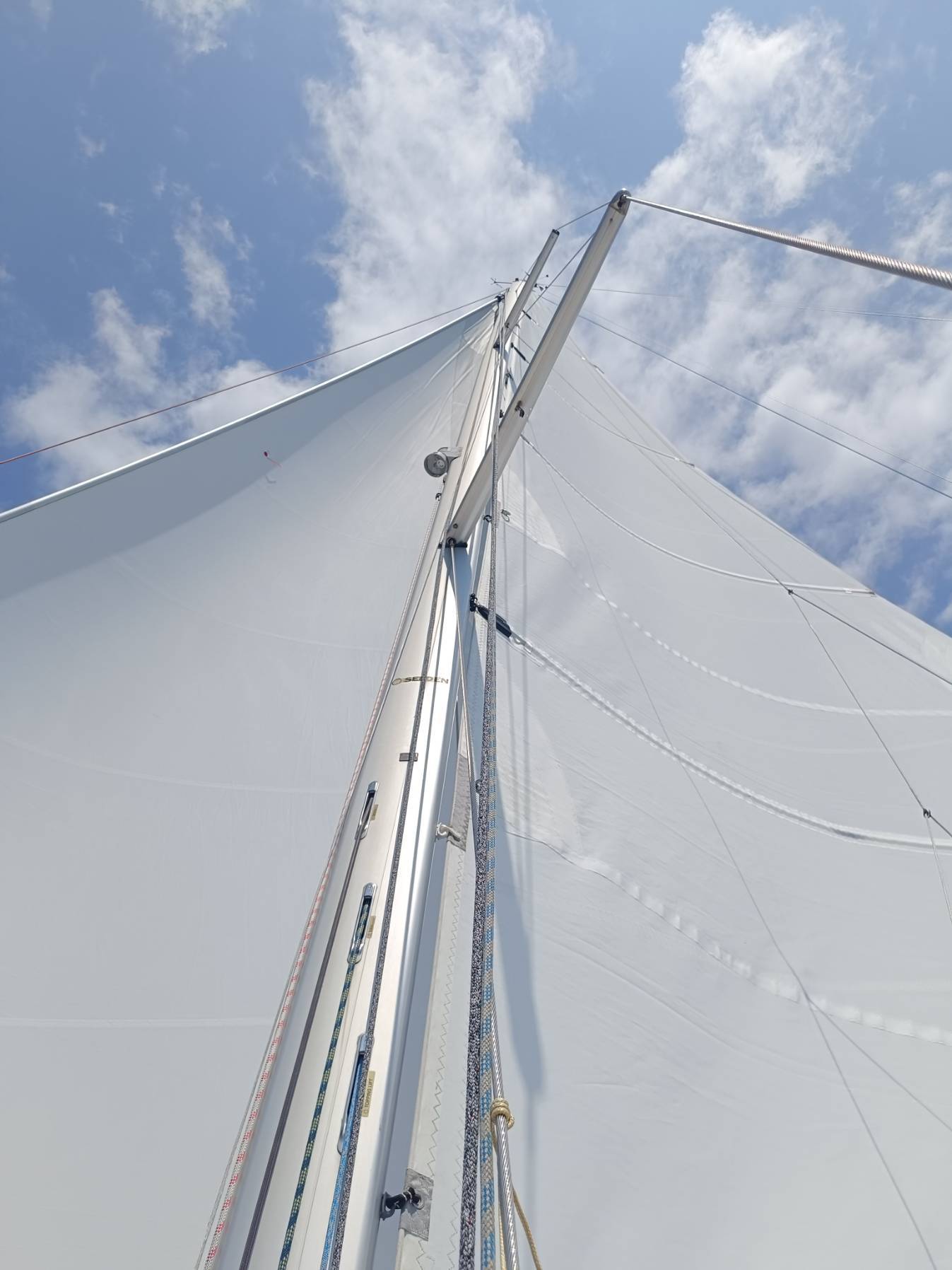 Half Day Charter, Bayley Zarrehparvar _77FCC6B0-F3C7-44DC-9BFC-EEE7072E53FF