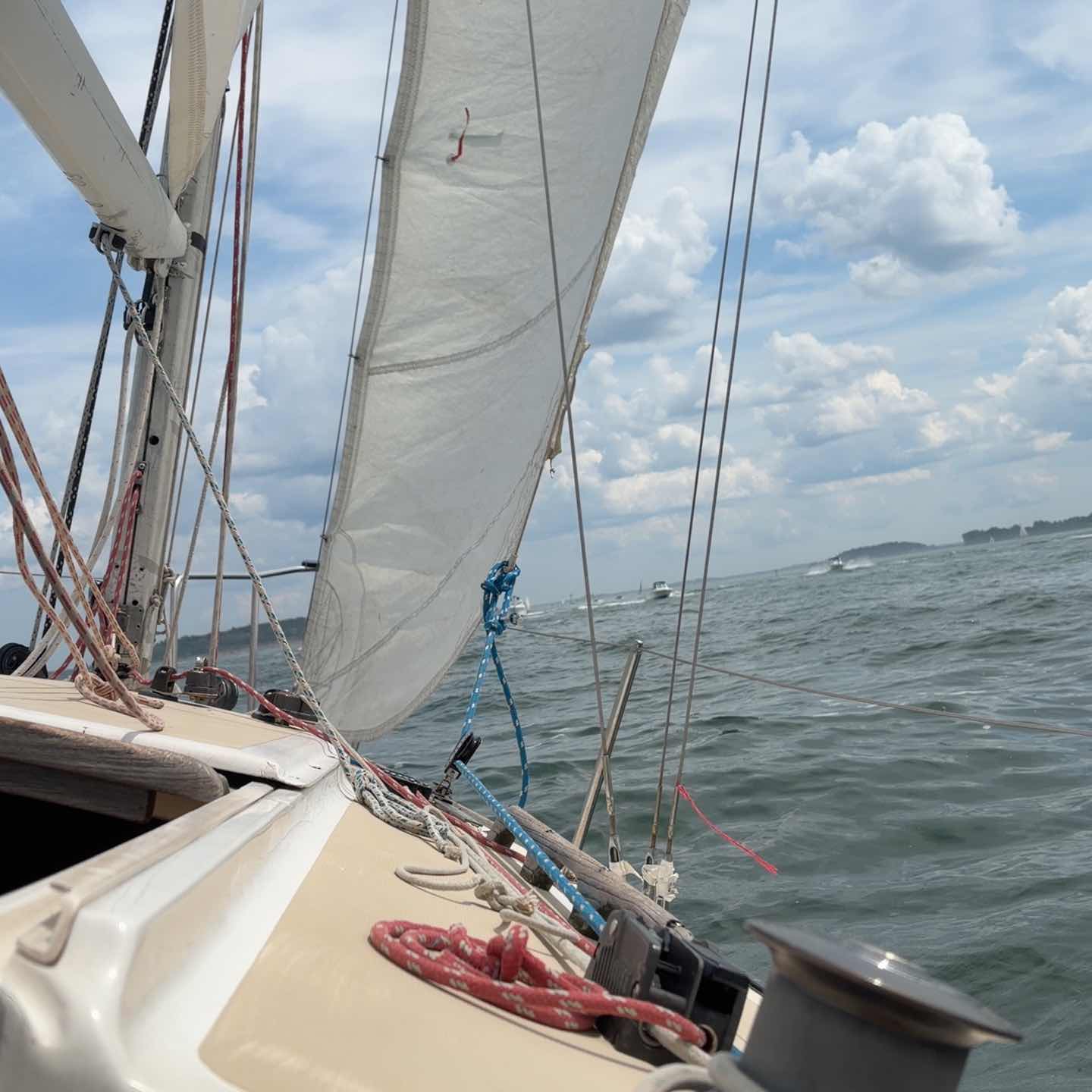 Long summer breeze!_404873A5-B5AC-4603-A3B7-D76876AD43F5