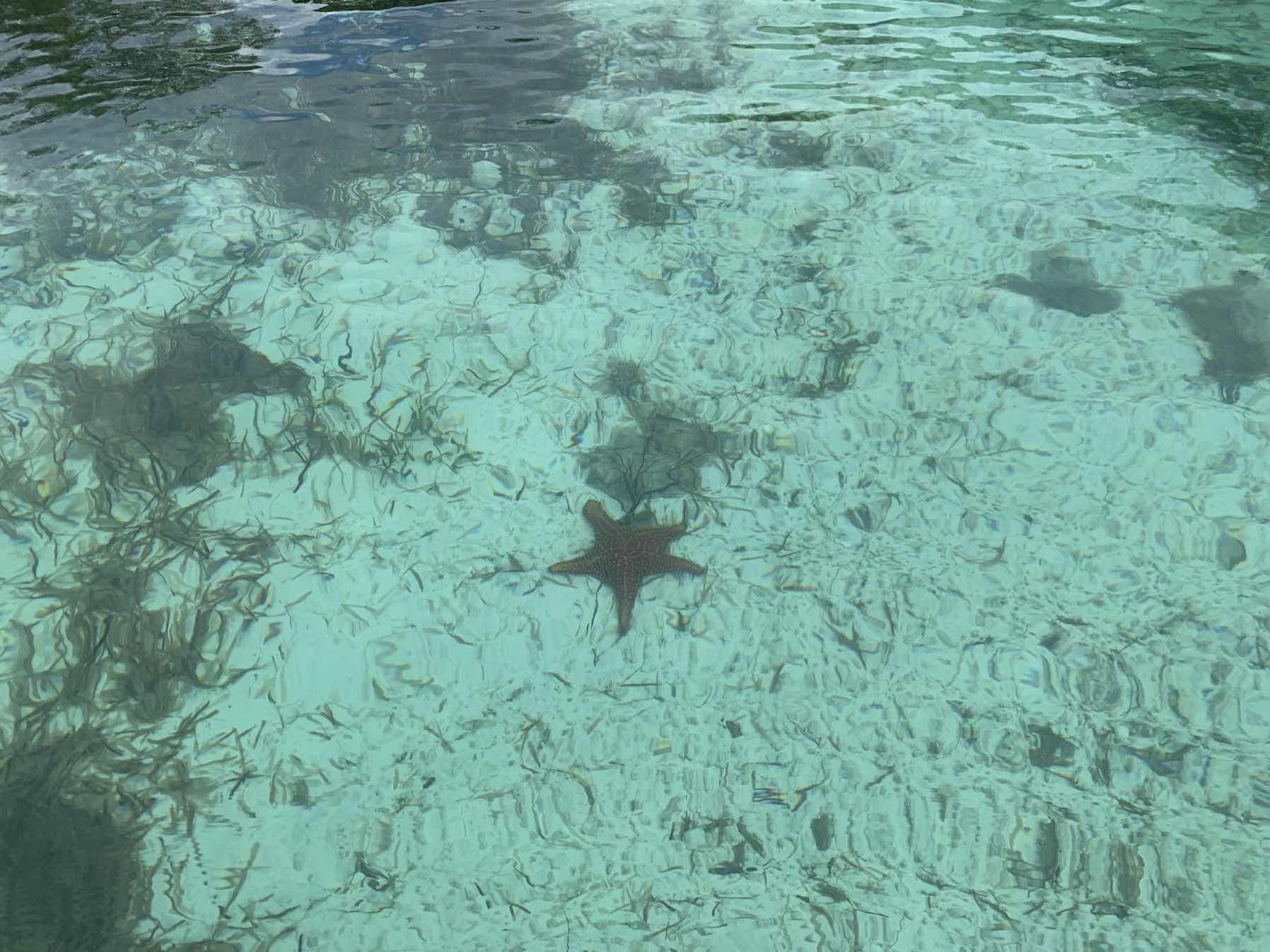 Bahamas with James & Jaqueline_555857B8-2B0F-419A-BE04-1D564A488935