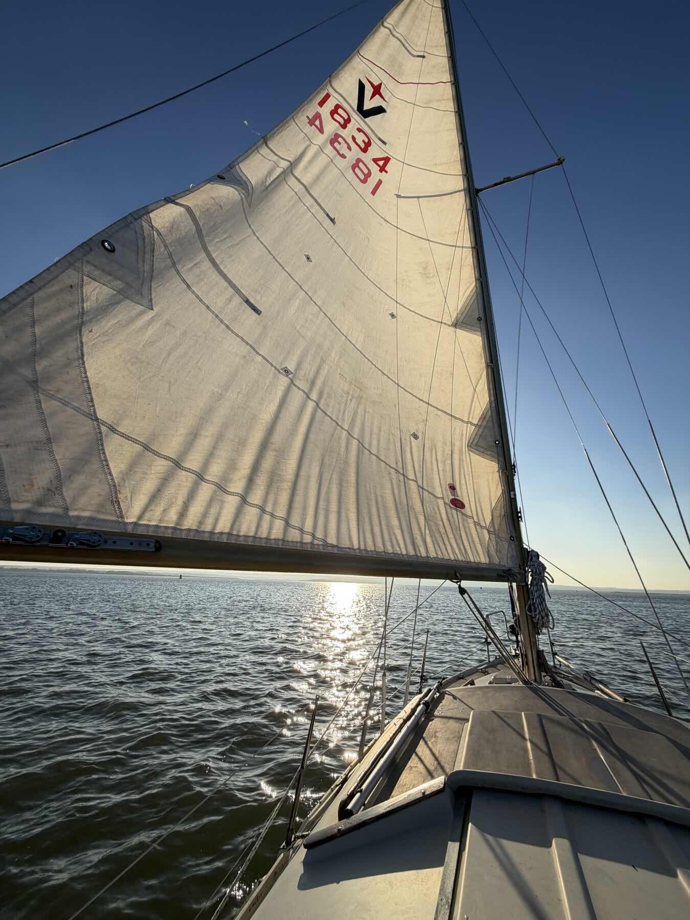 New Year’s Eve sail_391A8037-7CF2-4DF5-85F5-72F1503109EB