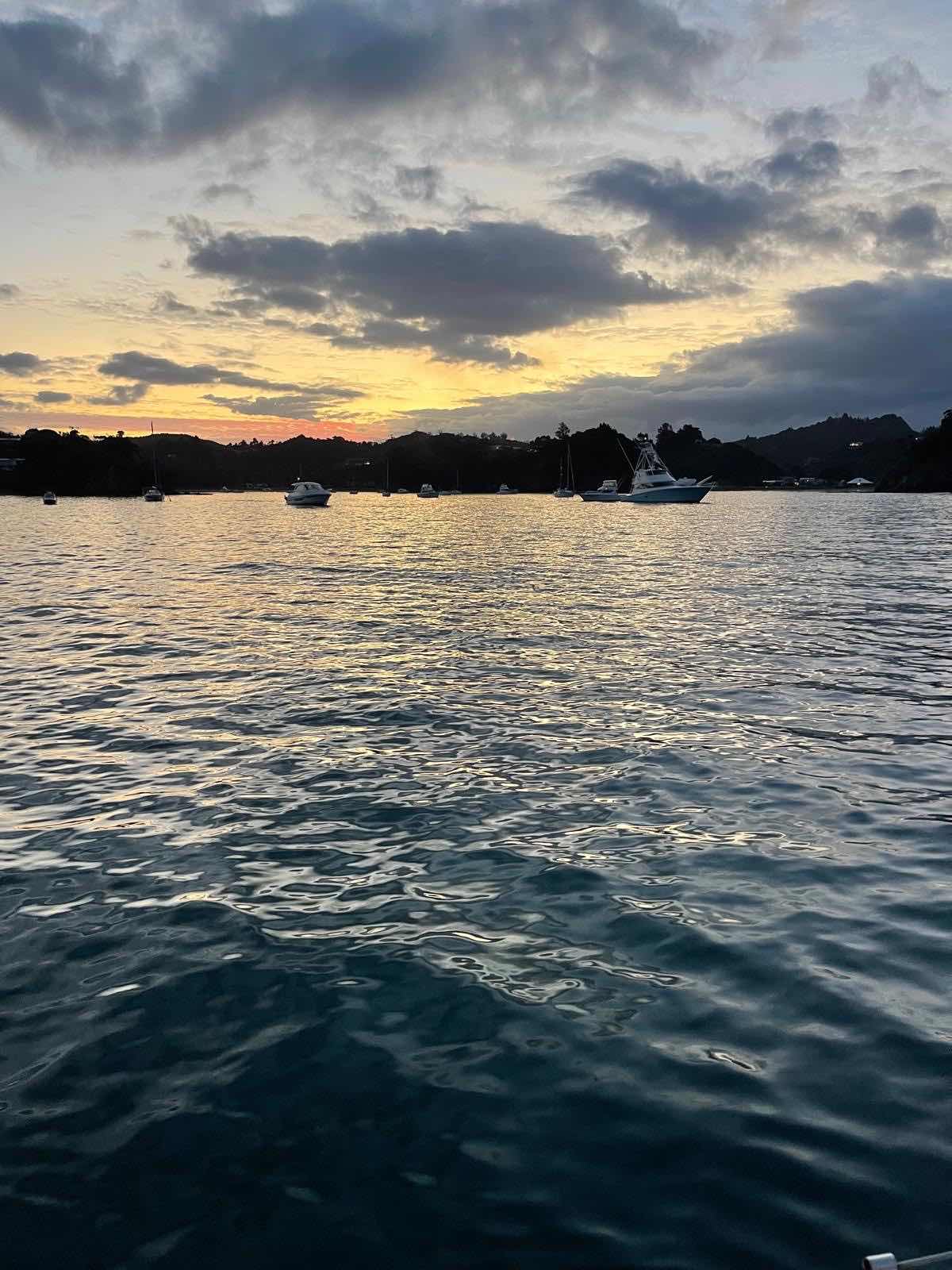 Tutukaka - Kawau Island _88CE993A-0CA2-40ED-9CBE-667EF87B185C