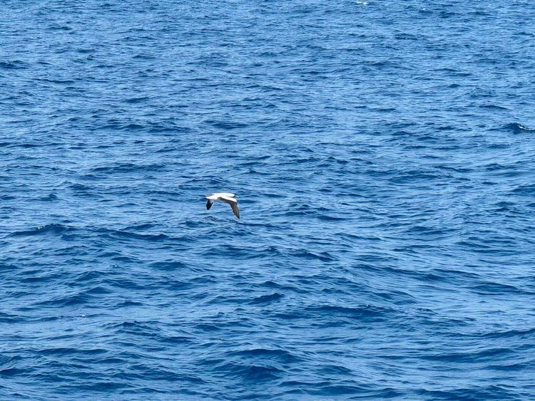 Voyage photo from Benoa to Darwin
