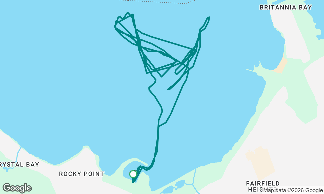 Race Crewing with Blue Heron