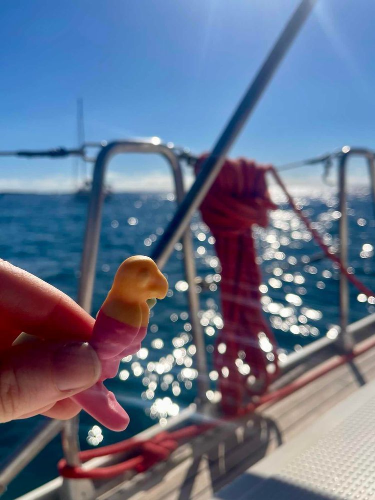 Voyage photo from Tenerife #3