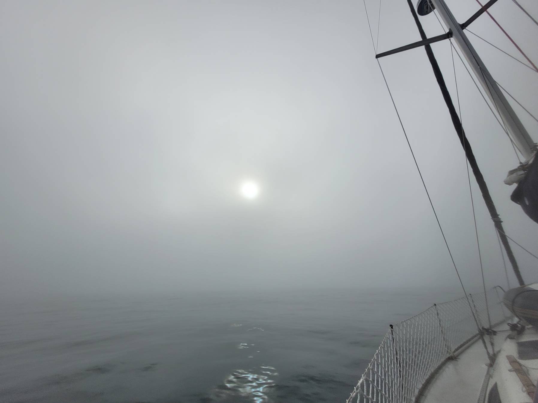 Rounding Vancouver Island day 24_B4273E45-5027-4E39-9EB7-56666F919EED