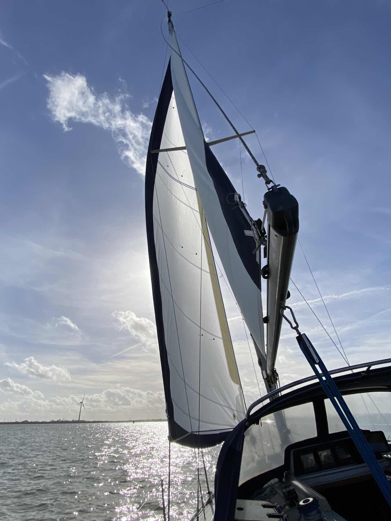 First test of Sea Holly’s shiny new Genoa! _59C5F8E5-8439-4BEE-B4A0-3768E5A66C93