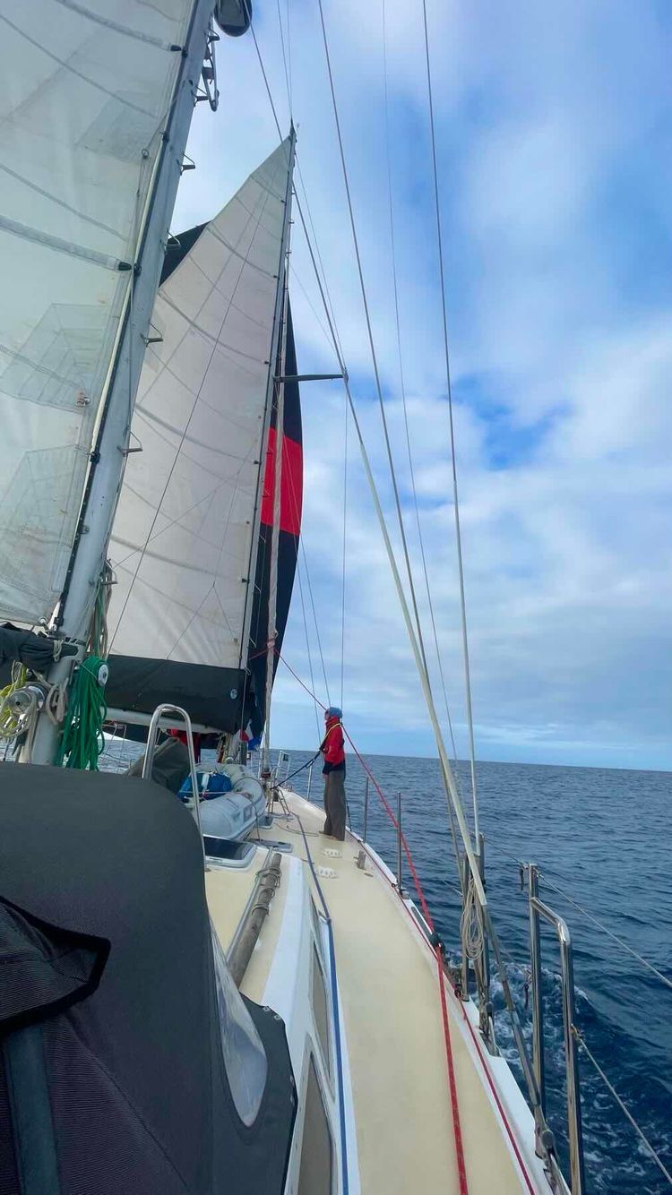 Voyage photo from Vuda, Fiji, to Opua, New Zealand