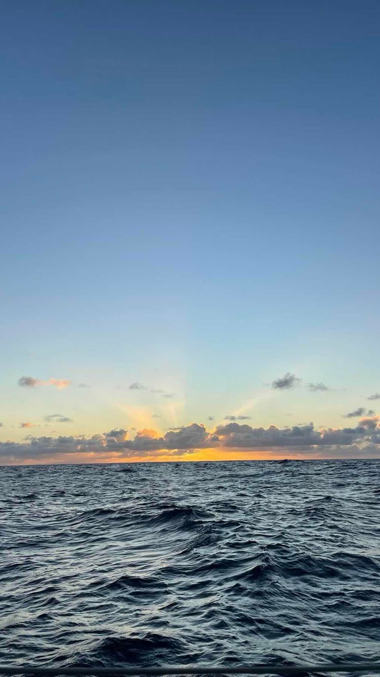 Voyage photo from Vuda, Fiji, to Opua, New Zealand