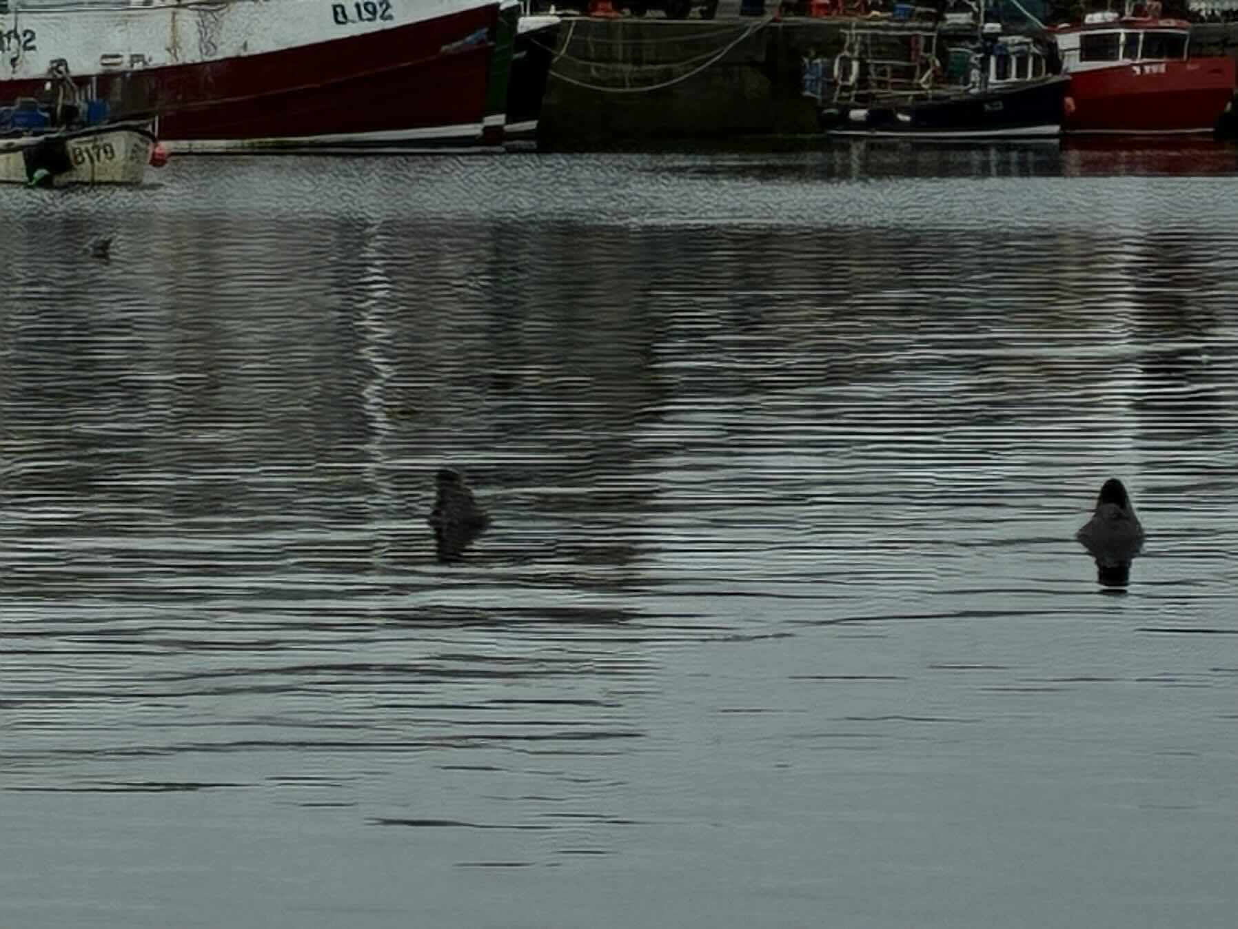 Bangor to Ardglass_926BA3E0-7203-446C-AEED-CD9802BD8D7E