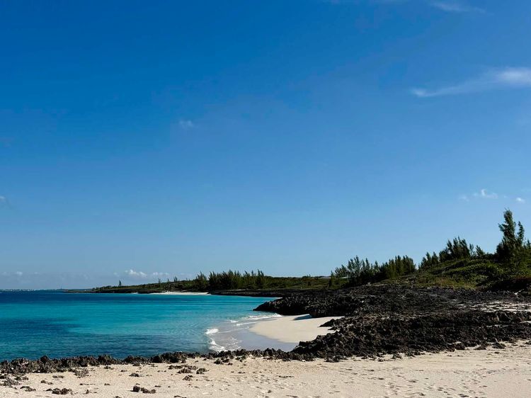 Voyage photo from Man o War Cay 