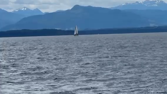 JibSet RRR 2026 Day 9
Sointula to Port Hardy_A74A8546-2AFD-4C71-87A7-BDA04BDCA76C