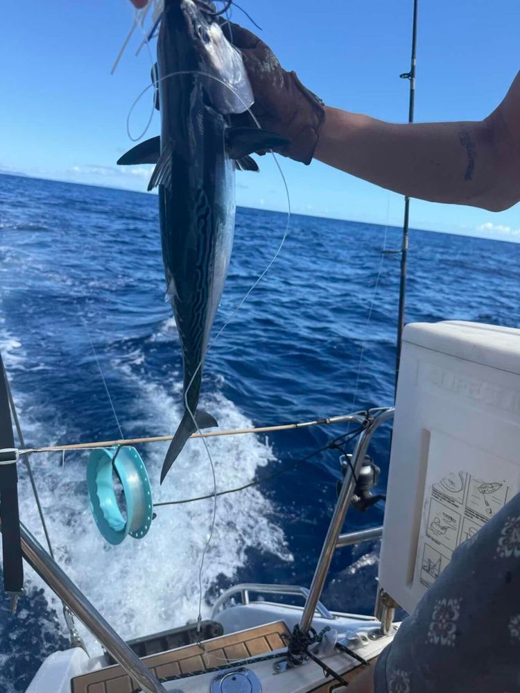 Voyage photo from Demystifying sailing myths 😎
Not really