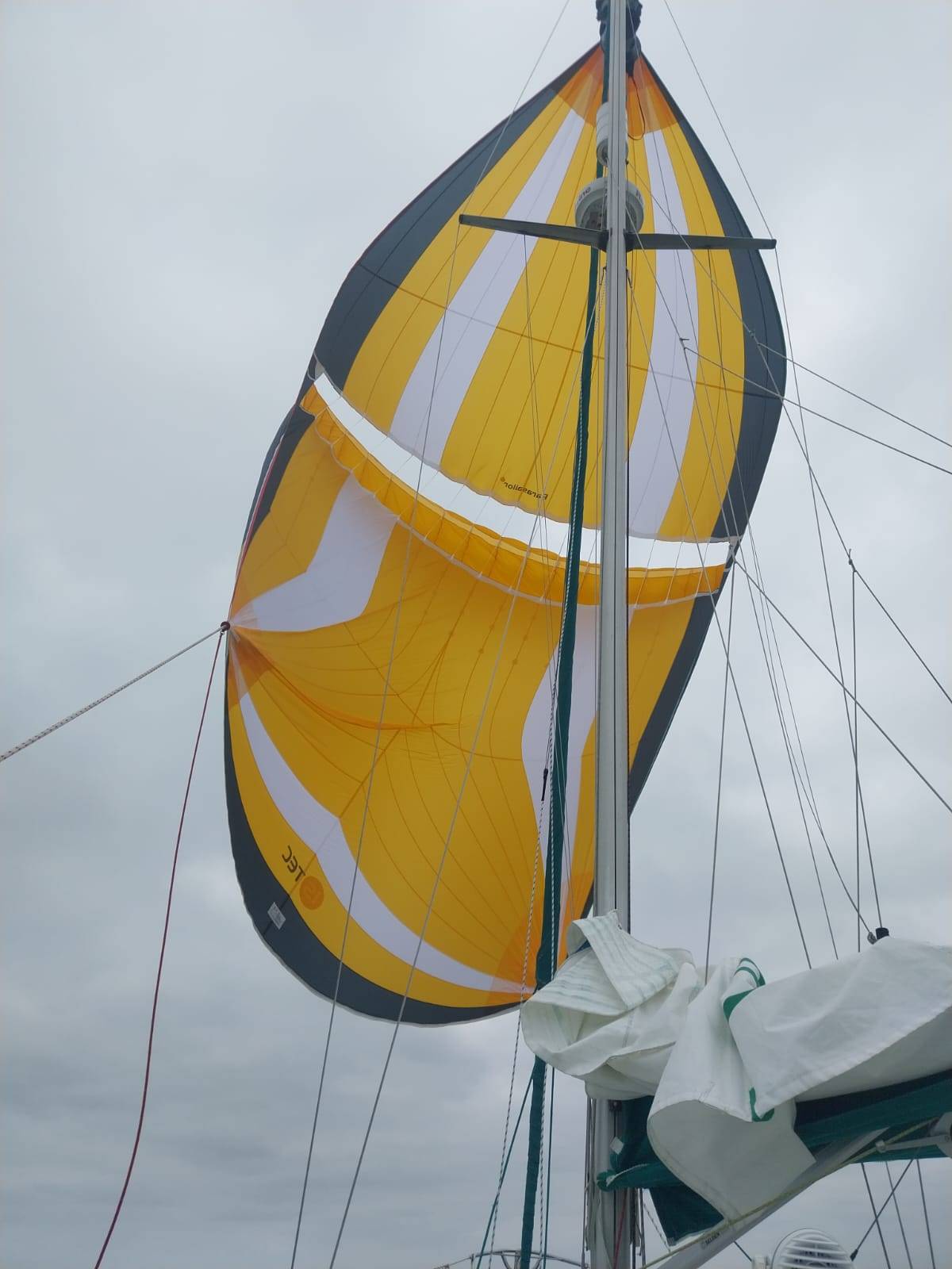 Spinnaker struggles_5D4701AB-3F5C-4B1F-B80B-19386D23D64A