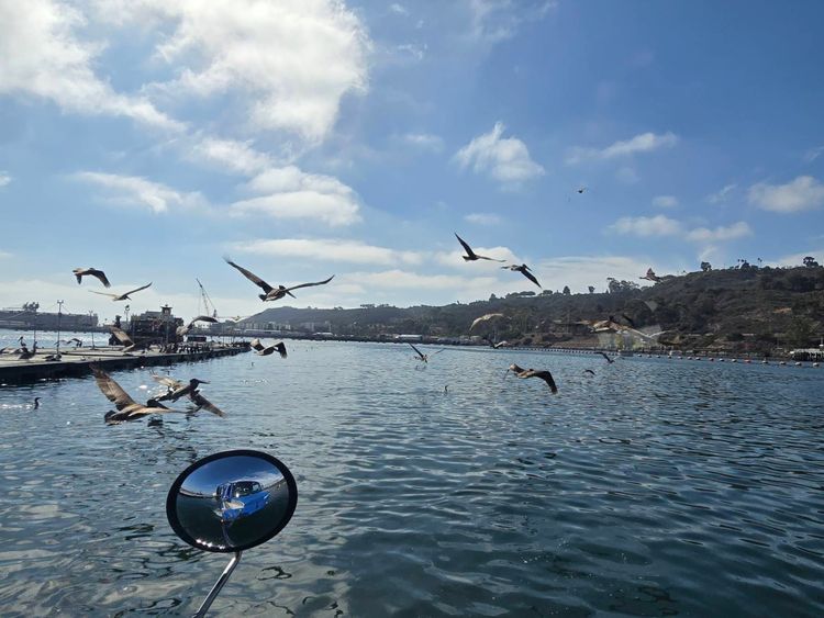 Voyage photo from emb with Jewels on 663