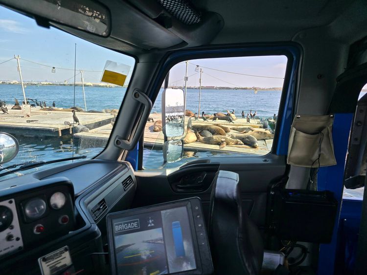 Voyage photo from emb with Jewels on 663