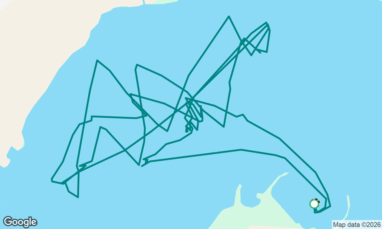 CSYC Summer Racing Series