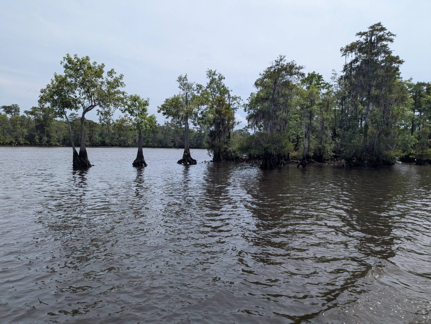 Cruise North - Day 18 - Winyah Bay to Little River_9BF20E34-9ABD-4EFD-8D3C-28851C777423