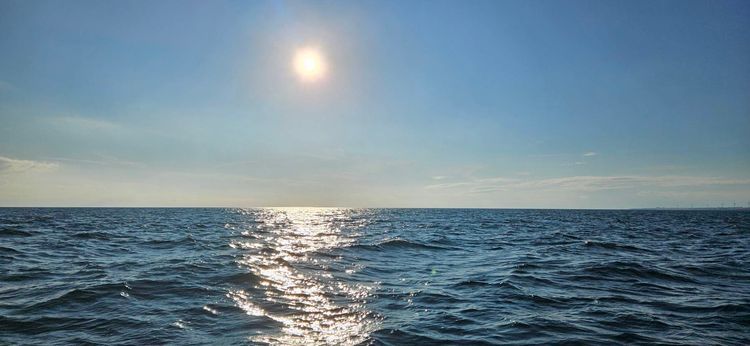 Voyage photo from Wik - Svendborg solo