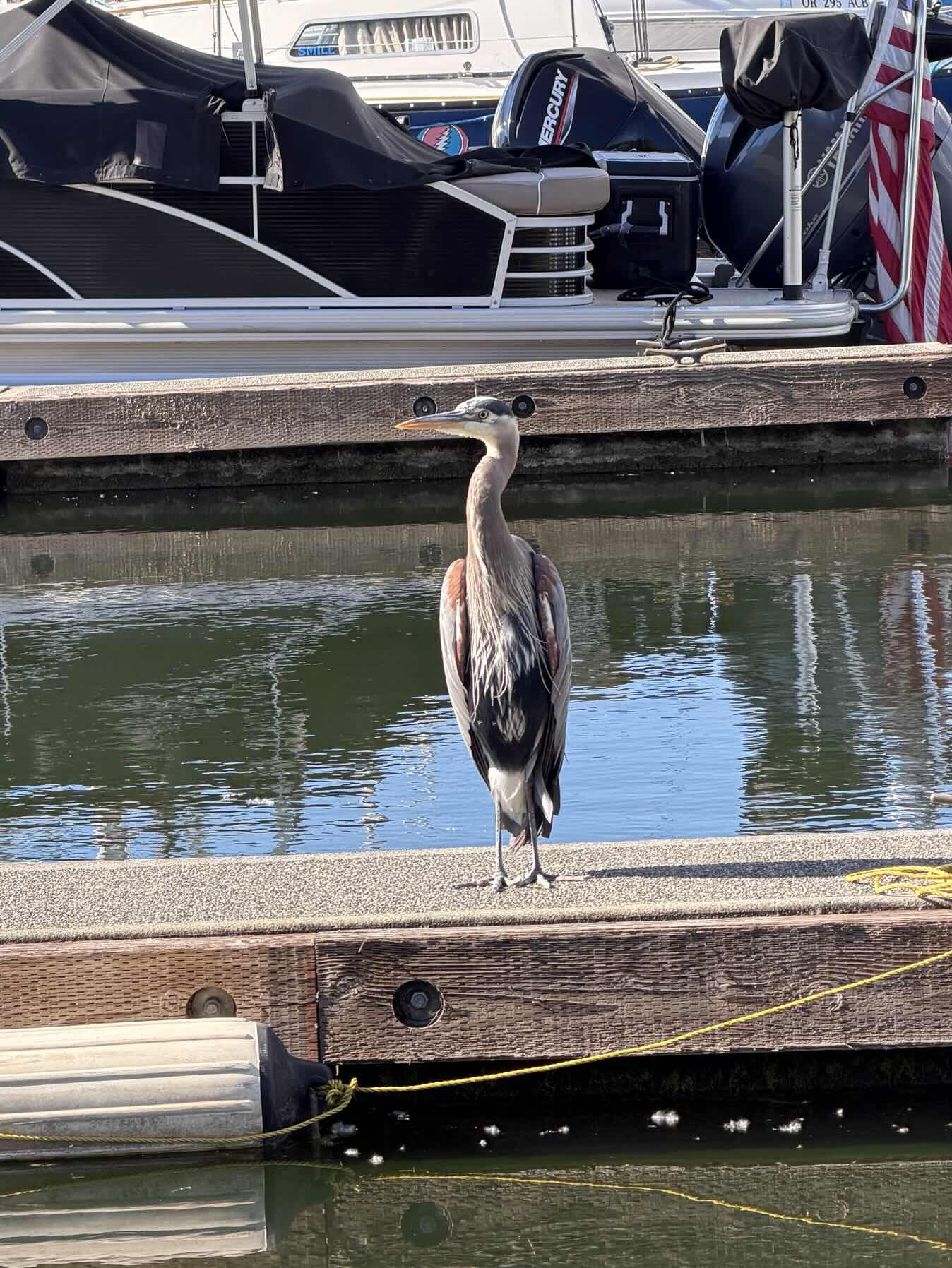 Wednesday Night Sail_83D36231-FBA9-4AEA-B6AD-DF180B4E506A
