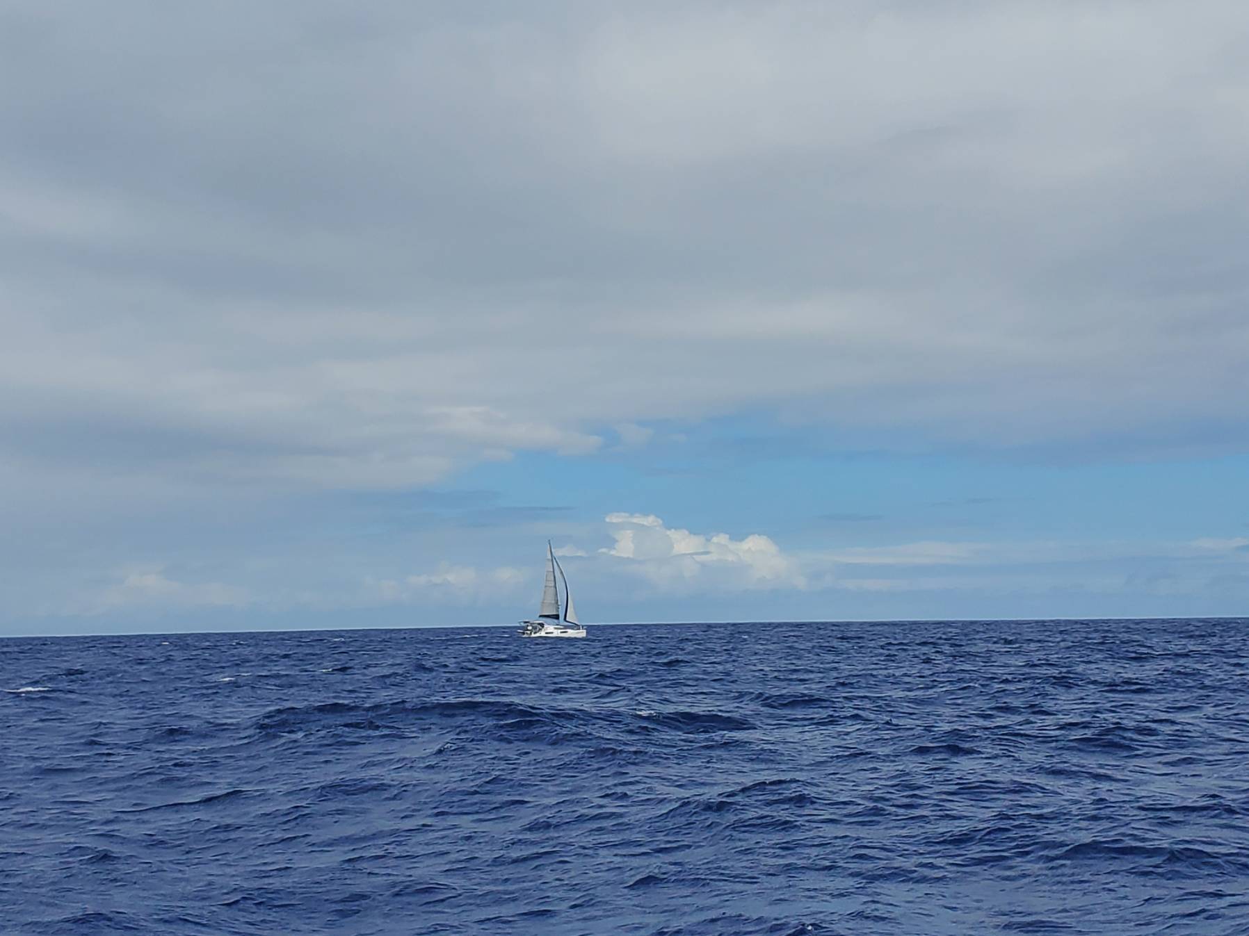 Raroia-Tehanea, Tuamotus _D7A8631D-829B-4C05-8436-5C77C9C7FBD6